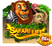 Safari Life