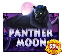Panther Moon