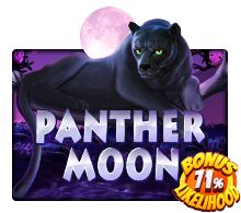 Panther Moon