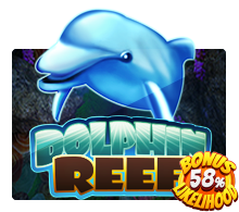 Dolphin Reef