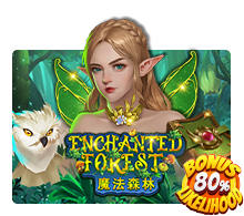 Enchanted Forest