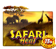 Safari Heat