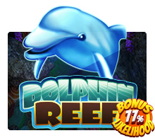 Dolphin Reef