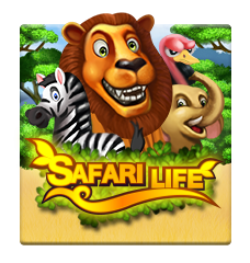 Safari Life