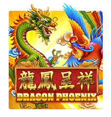Dragon Phoenix