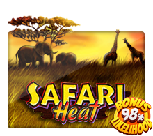 Safari Heat